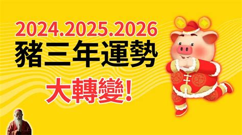 屬豬終身幸運色|【屬豬 顏色】速查2024屬豬運勢指南：幸運色、財位、禁忌